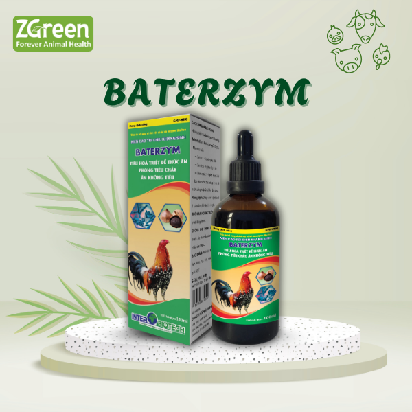 81 BATERZYM
