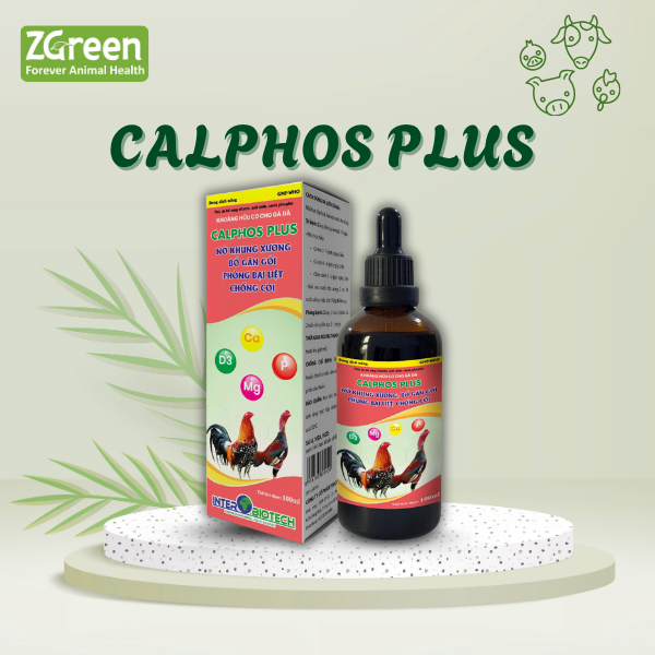 CALPHOS PLUS