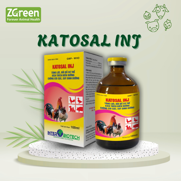 KATOSAL INJ
