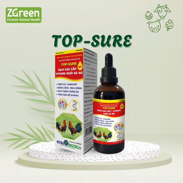 TOP-SURE