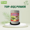 TOP-EGG POWER