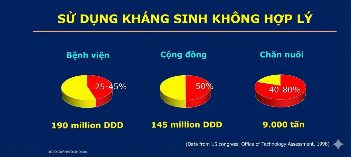 Lạm dụng kháng sinh trong chăn nuôi: Nguy cơ lớn đối với an toàn thực phẩm và sức khỏe cộng đồng