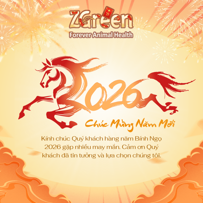 Chúc Mừng Năm Mới 2026 – ZGreen Trân Trọng Cảm Ơn Sự Đồng Hành Của Quý Khách Hàng & Đối Tác