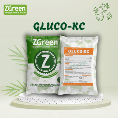 Gluco-kc