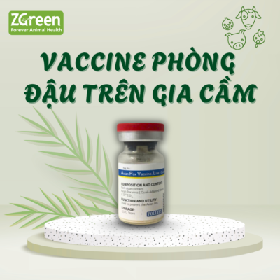 Avian Pox Vaccine, Live (Quail-Adapted Strain）