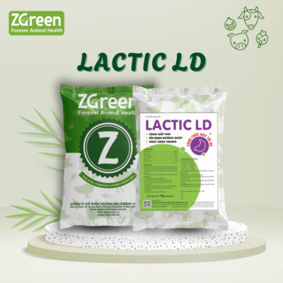lactic ld