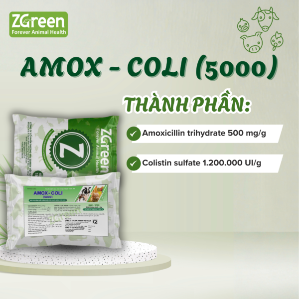 AMOX-COLI (5000)