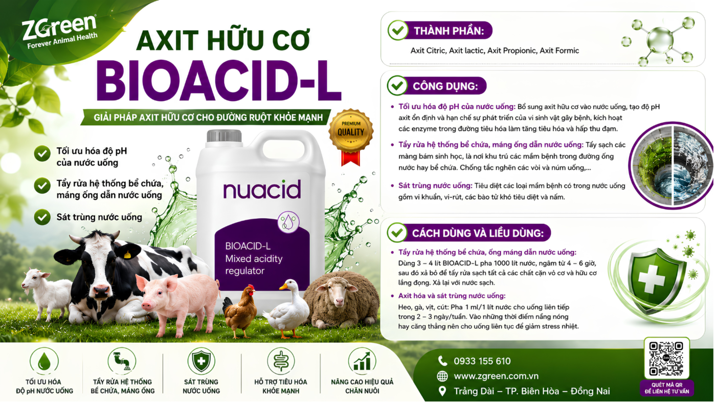 Kiểm soát Salmonella trên gia cầm hiệu quả hơn mà không phụ thuộc quá ...